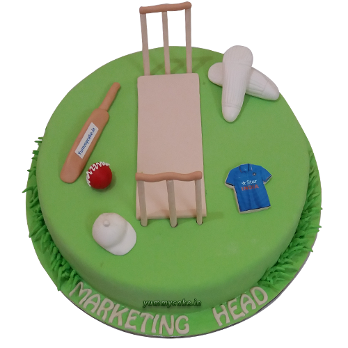 Cricket cake-online cake delivery in faridabad