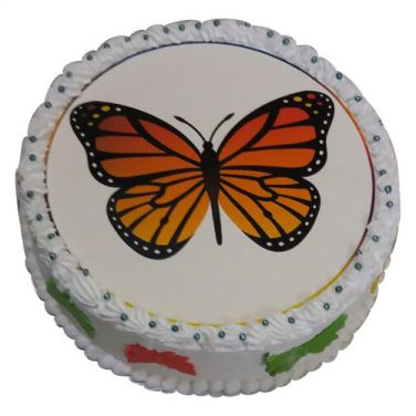 Butterfly Cakes