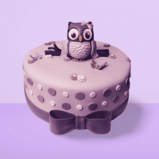 Owl Theme Birthday Cake